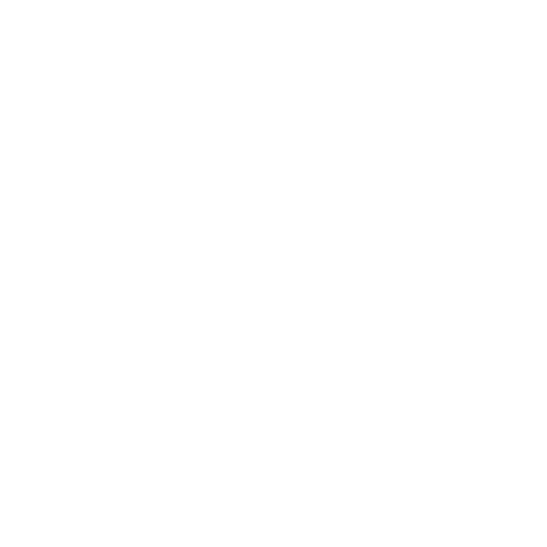 skaterzy